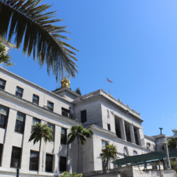 description: a photo of a city hall building surrounded by palm trees. the blue sky can be seen in the background.