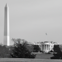 Description: A black and white image of the White House with the Washington Monument in the background.