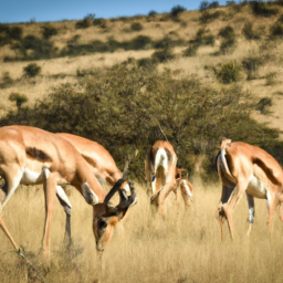 the photograph features a group of antelopes grazing on a grassy plain. the animals are standing close together, their heads lowered as they nibble on the blades of grass. in the background, a few trees can be seen, and the sky is a deep blue. the antelopes are all different shades of brown and tan, with some sporting curved horns. the image captures the peacefulness and serenity of the animals in their natural habitat.