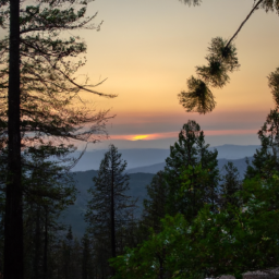 A sunset at a national park, with trees in the foreground and mountains in the background.