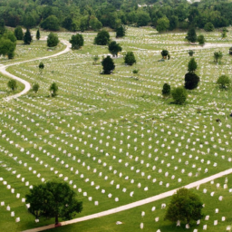 description: an aerial view of arlington national cemetery, with rows of identical white headstones stretching into the distance.